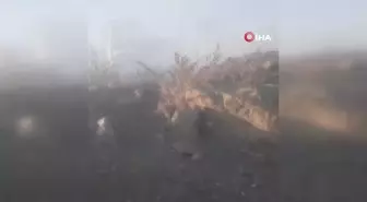 Bahçesindeki otları yakmak istedi, evi ve otomobili yaktı