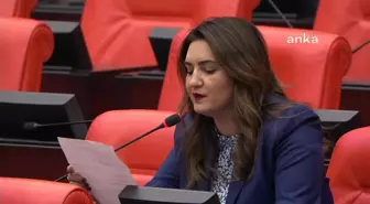 CHP Milletvekili Sevda Erdan Kılıç: İktidar depremde enkaz kaldıramadı