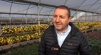 Yalova'da Sevgililer Günü öncesi süs bitkisi hareketliliği