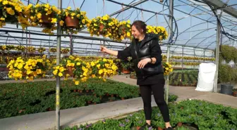 Yalova'da Sevgililer Günü öncesi süs bitkisi hareketliliği