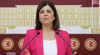 DEM Parti'nin İstanbul adayları Meral Danış Beştaş ve Murat Çepni oldu