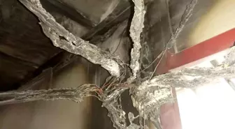 Antakya'da Konteynerda Çıkan Yangına İtfaiye Müdahale Etti