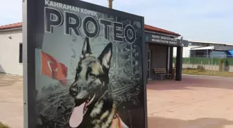 Adıyaman'da Ölen Köpeğin İsmiyle Rehabilitasyon Merkezi