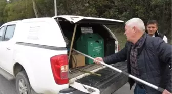 Ümraniye TEM Otoyolu'nda Yaralı Çakal Kurtarıldı