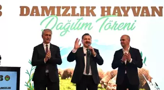 Balıkesir Büyükşehir Belediyesi Savaştepe'de 550 Küçükbaş Hayvan Dağıttı