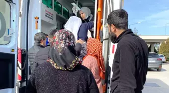 Diyarbakır'da köpek saldırısı: 72 yaşındaki kadın çenesinden yaralandı