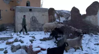Sivas Şarkışla'da 3 Harfliler Söylentisiyle Gündeme Gelen Köyün Eski Muhtarı: Oğlum Yeniden Aday Olacak