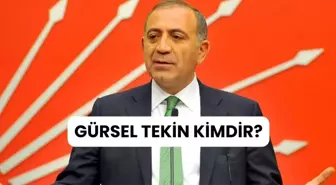 GÜRSEL TEKİN KİMDİR? Gürsel Tekin nereli, kaç yaşında?