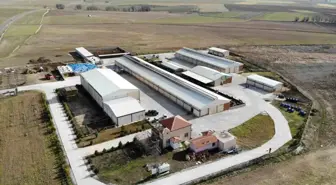 Yozgat'ta Müzik Dinleyen İneklerin Süt Verimi Artıyor