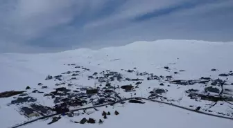 Ardahan ve Erzurum'da Çetin Kış Şartlarına Rağmen Besiciler Hayvanlarını Besliyor