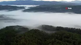 Denizli'yi kaplayan sis denizi böyle görüntülendi