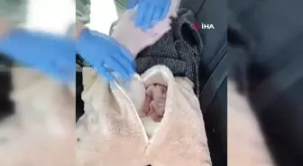 Jandarmadan uyuşturucu operasyonu: 2 kişi tutuklandı