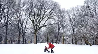ABD'nin New York'ta Son 2 Yılın En Fazla Kar Yağışı Görüldü
