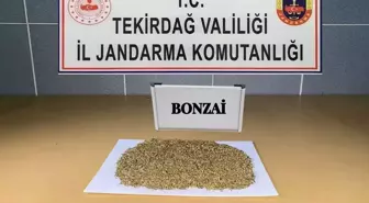 Tekirdağ'da Uyuşturucu Ticareti Yapan 4 Şüpheli Gözaltına Alındı