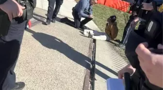 Kansas City'deki geçit töreninde silahlı saldırı: 1 ölü, 14 yaralı