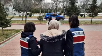 Aksaray'da PKK/KCK üyesi olduğu iddiasıyla 1 şüpheli gözaltına alındı