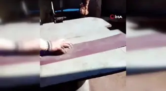 Gemideki her işe koşturmuştu... 'Benden bir tane daha yok' parçasını dinlerken video çekmiş