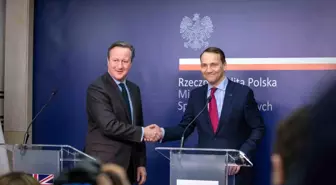 Cameron: Ukrayna'ya yardım paketi için ABD'yi ikna etmeliyiz