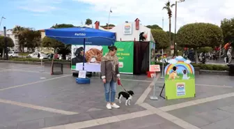 Marmaris Belediyesi Geçici Hayvan Bakımevi'nden Sahiplendirme Çalışması