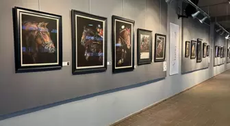 Ressam Emine Bayraktar'ın Pastel At Tutkusu Sergisi İstanbul'da Açıldı