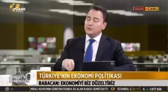 Ali Babacan: Türkiye'deki madenlerle alakalı tüm izinler Cumhurbaşkanlığında veriliyor