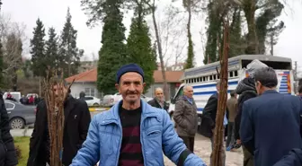 Balıkesir Büyükşehir Belediyesi, Sındırgı'da çiftçilere fidan dağıttı