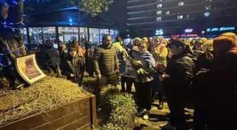 Başakşehir'de Eros adlı kedinin öldürülmesine tepki