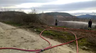 Bilecik'te meydana gelen ot yangını itfaiye tarafından söndürüldü