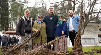 Balıkesir Büyükşehir Belediyesi, Sındırgı'da Çiftçilere Ceviz ve Badem Fidanı Dağıttı