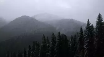 Ilgaz Dağı'nda Kar Yağışı Etkili Oluyor