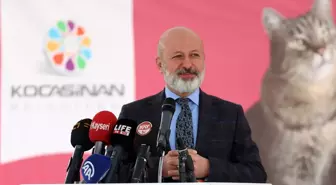 Kocasinan Belediyesi tarafından düzenlenen kedi fotoğrafı yarışmasında dereceye giren 5 kişiye ödül verildi