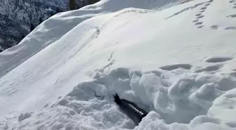 Artvin'in Borçka ilçesinde çığ altında kalan ekskavatör 10 gün sonra çıkartıldı