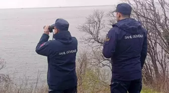 İmralı Adası'nda batan geminin mürettebatını arama çalışmaları devam ediyor