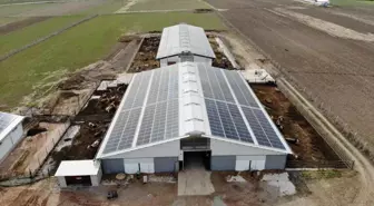 Yozgat'ta Veteriner Hekim Güneş Enerjisiyle Çiftlik İşletiyor