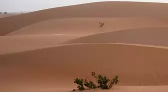 Gobi Çölü nerede, hangi kıtada? Gobi Çölü hangi ülkede ve kıtada yer almaktadır?