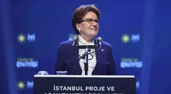 Meral Akşener: İstanbul'u artık İstanbullular yönetmeli