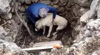 Konya'da mahsur kalan köpek kuyudan kurtarıldı