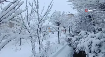 Van'da kar yağışıyla birlikte 63 yerleşim yerinin yolu ulaşıma kapanırken, meteoroloji çığ uyarısında bulundu