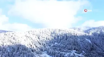 Ilgaz Dağı'nın eteklerindeki yaylalarda kartpostallık görüntüler