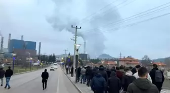 Tes-İş Sendikası, Çelikler Tunçbilek, Orhaneli ve Seyitömer termik santrallerinde eylem kararı aldı