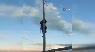 Kars'ta direkte mahsur kalan kedi kurtarıldı