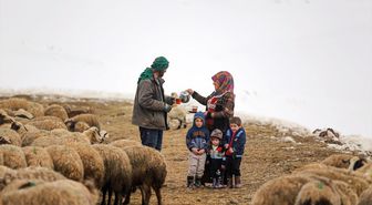 Van'ın Muradiye ilçesinde kışı terk etmeyen çift, hayvanlarına bakıyor