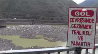 Artvin'deki sel Muratlı Baraj Gölü'nü çöplüğe çevirdi