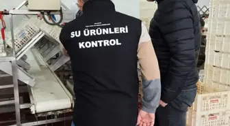 Beyşehir Gölü'nde Su Ürünleri Avcılığı Denetimleri Devam Ediyor