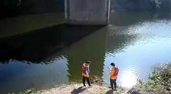 Bahar Bayramı Seyahatinde Yüksek Teknoloji Kullanıldı