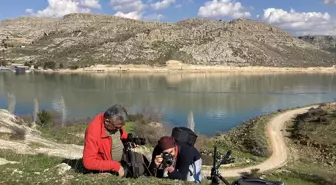 Gaziantep'te Baharın Gelişiyle Çiçekler Görüntülendi