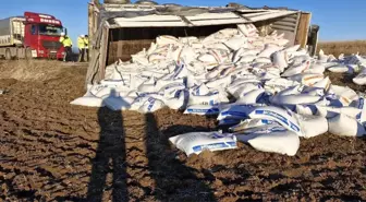 Çorum Alaca'da yem yüklü tır devrildi, sürücü kurtarıldı