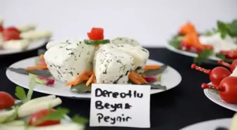 Çorum Alaca'da Kadınlar 25 Çeşit Peynir Yapımını Öğrendi