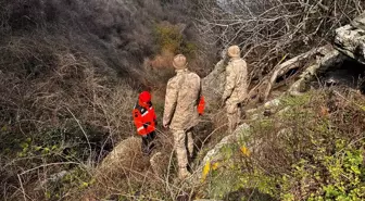 Marmara Denizi'nde Batan Gemi İçin Arama Kurtarma Çalışmaları Devam Ediyor