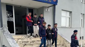 Ordu'da tarım aracı ve aletleri çaldıkları iddia edilen 2 kişi tutuklandı